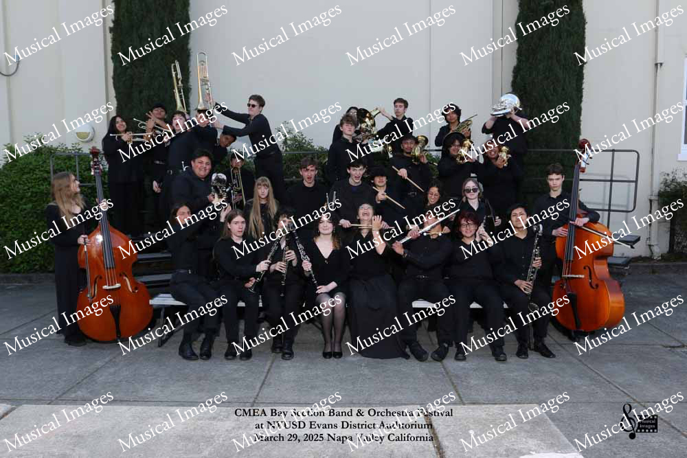 Musical Images